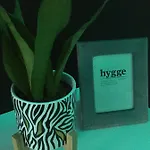 Mietowa Zebra 아파트