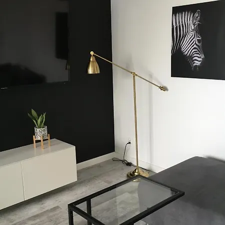 Apartment Mietowa Zebra Olsztyn (Warmian-Masurian)