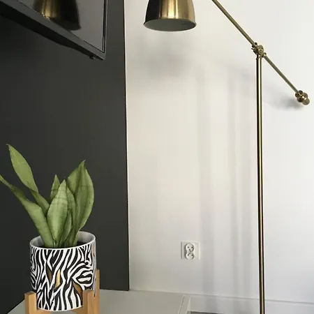 Mietowa Zebra Apartment
