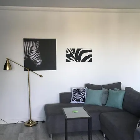 Miętowa Zebra