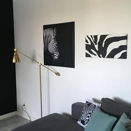 Mietowa Zebra Apartment