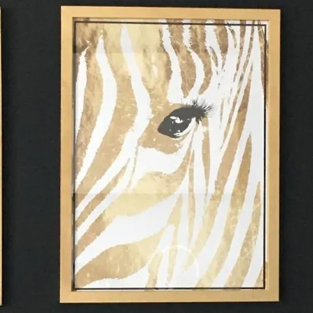 Mietowa Zebra דירה אולז'טין