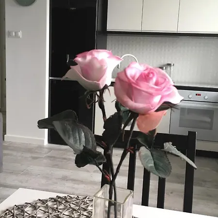 Mietowa Zebra Apartmán Olštýn