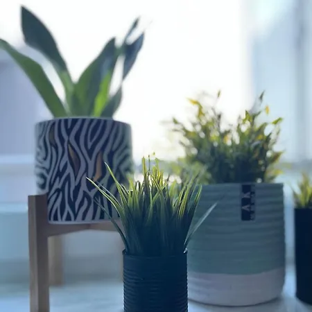Apartment Mietowa Zebra *